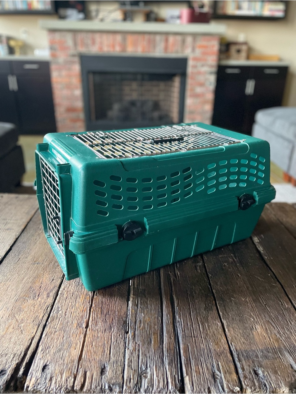 DOUBLE-DOOR Deluxe Pet Carrier in Teal Green - Cat Carrier - Small Dog Carrier - Picture 7 of 16